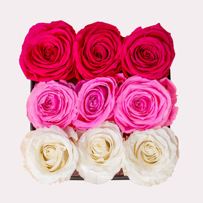 Pink, Red & White Forever Roses in a Box