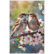 C50 Kissing Birds Blank Card – Set of 6