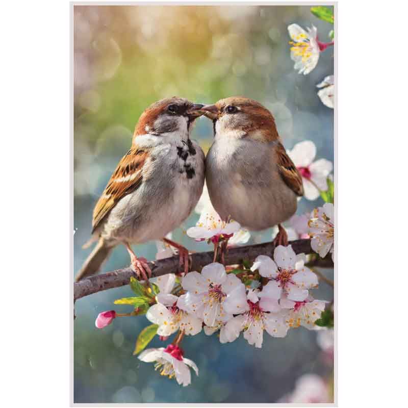C50 Kissing Birds Blank Card – Set of 6