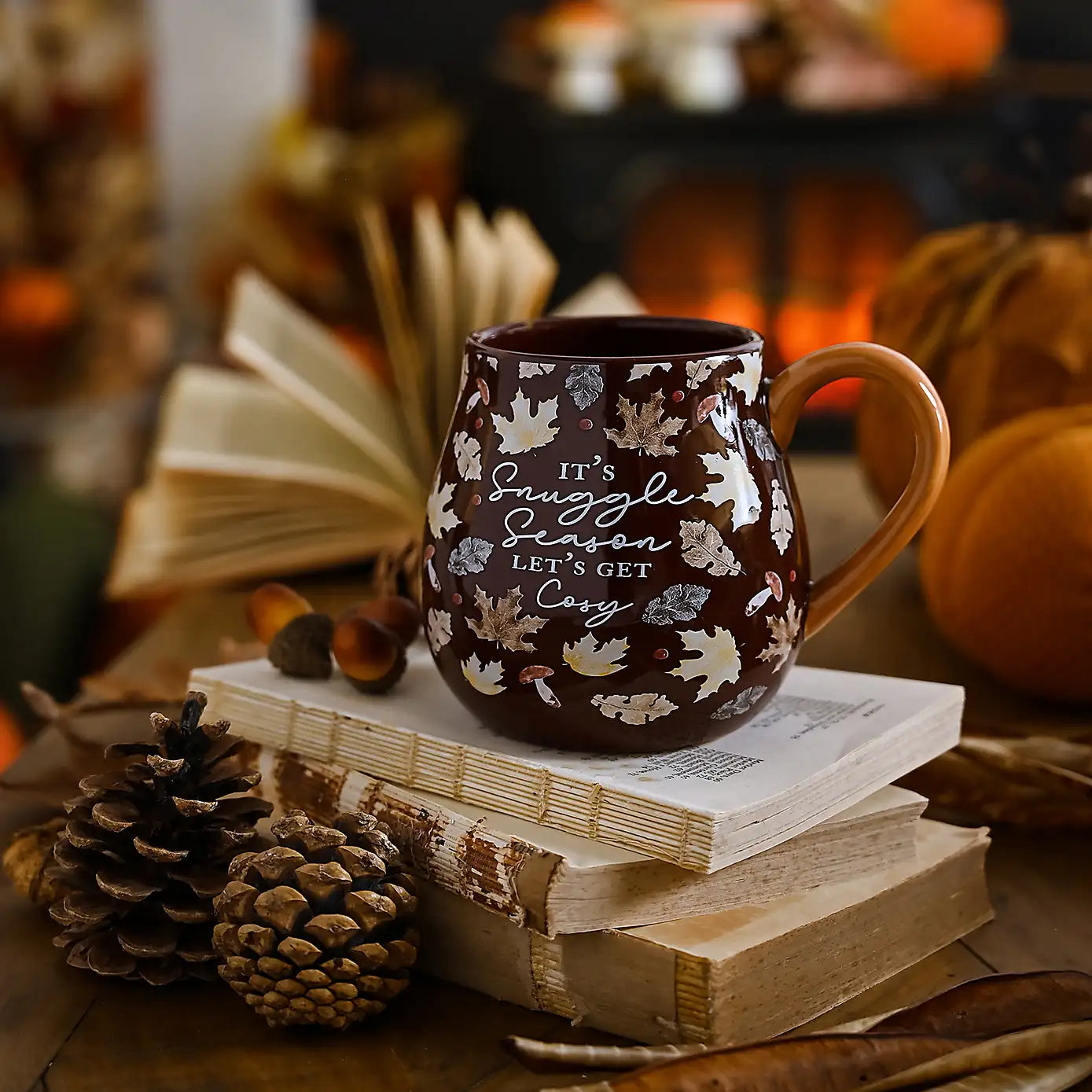 Country Living Large Mug 490ml – "Snuggle Season"