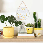 Country Living Set of 2 Planters – Bees