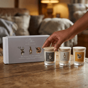 Meg Hawkins "Favourites" Set of 3 Mini Candles