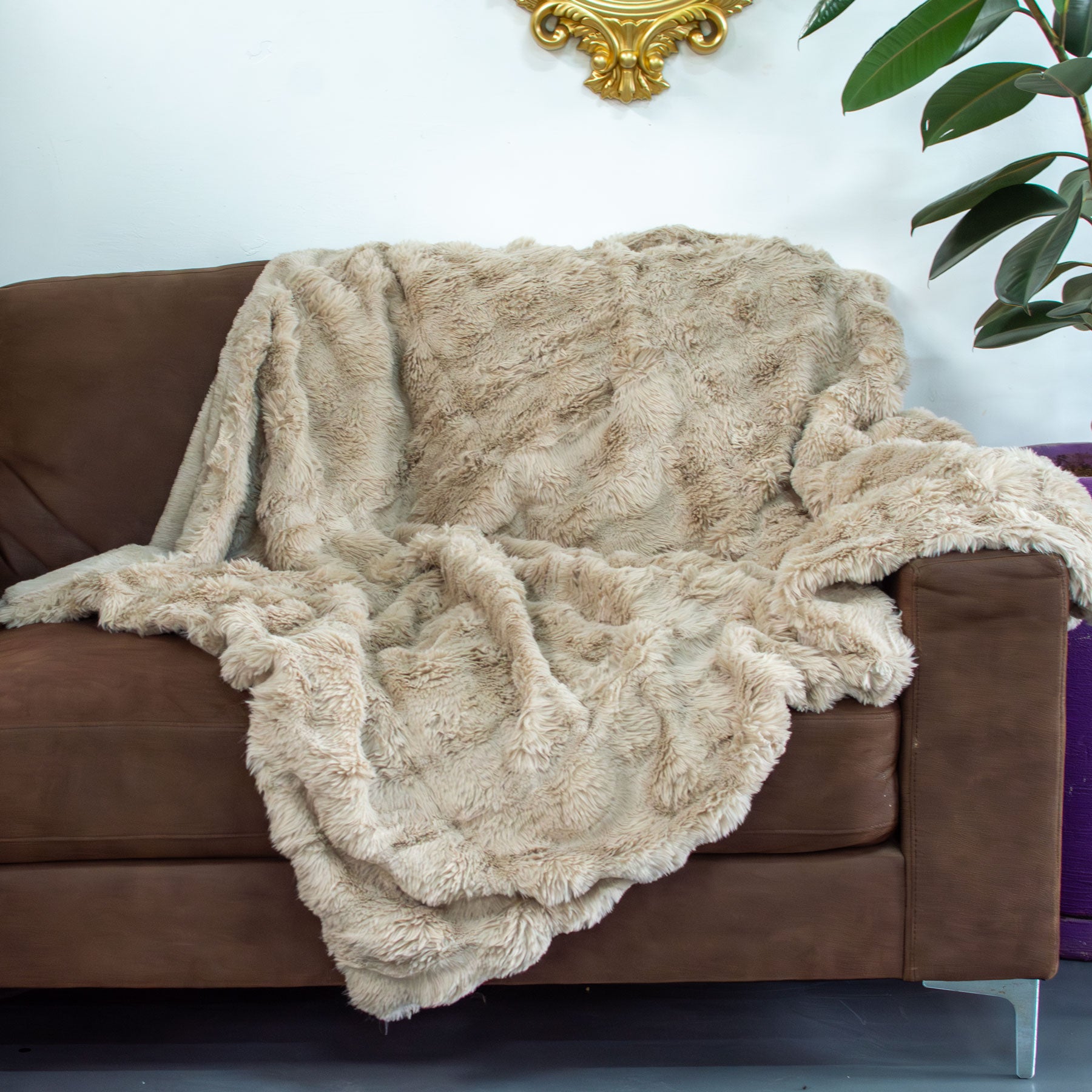 Ivory Cloud Textured Sherpa Throw Blanket