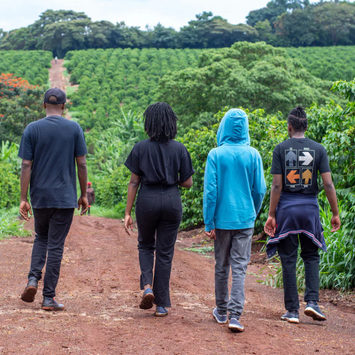 Karunguru Coffee Farm Tour Experience