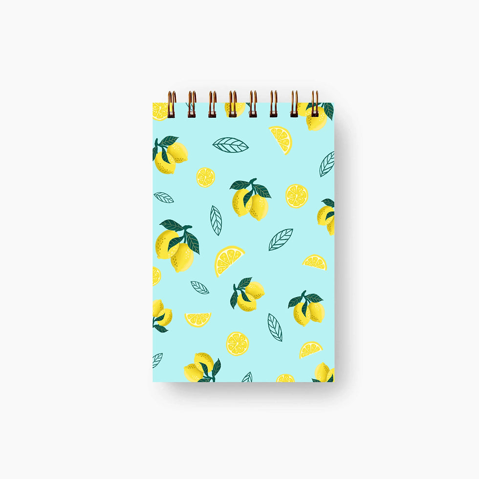 The Art Carte Mini Notebook