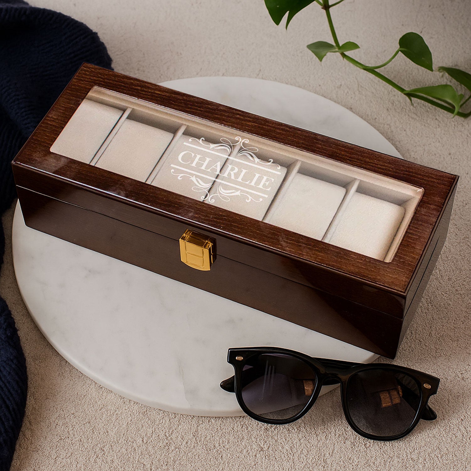 The Hugo Watch Display Box