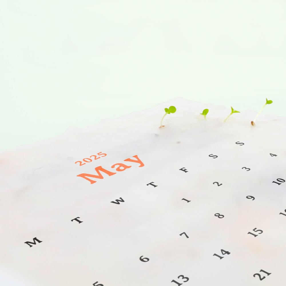 Plantable Calendar with 12 Sheets Seed Paper
