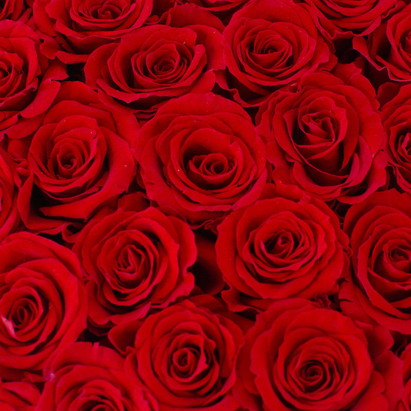ForeverRoses™ Red Heart Roses