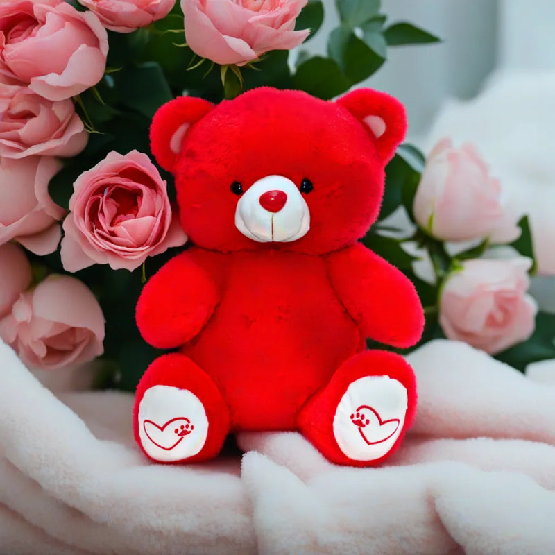Soft Red Plush Teddy Bear - 50cm