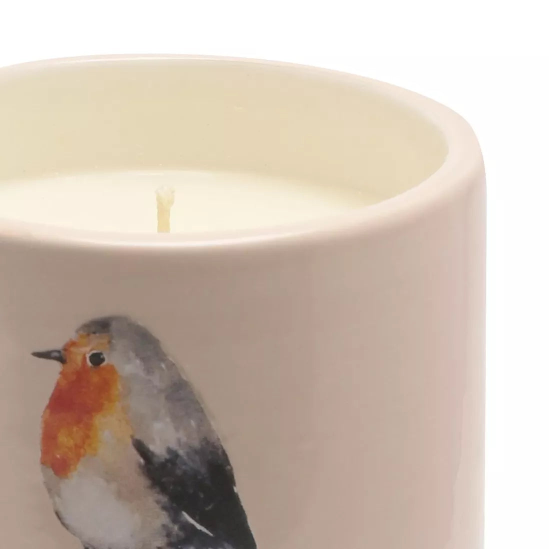 Country Living 200g Citronella Candle in Footed Ceramic Vessel - Robin
