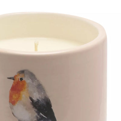 Country Living 200g Citronella Candle in Footed Ceramic Vessel - Robin