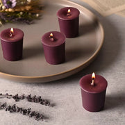 Northern Lights Votive Candle CDU - Plum Orchid & Dahlia