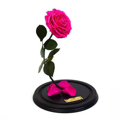 ForeverRoses™ Pink Bella Rose