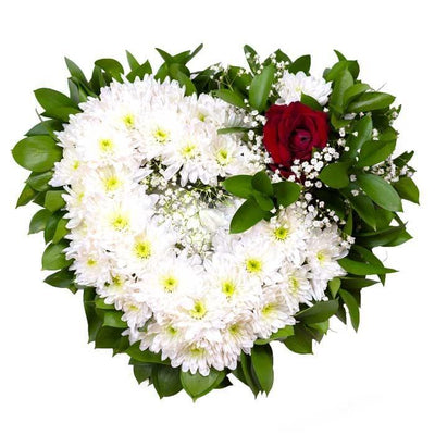 White Mums and Ruscus Funeral Heart
