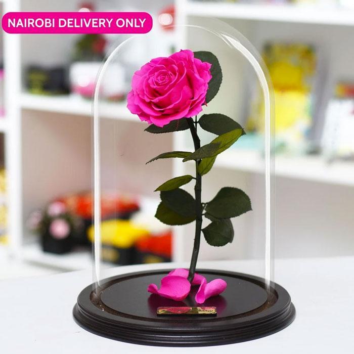 ForeverRoses™ Pink Bella Rose