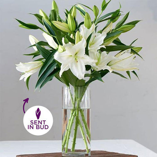 Blooming Oriental Lily Bouquet