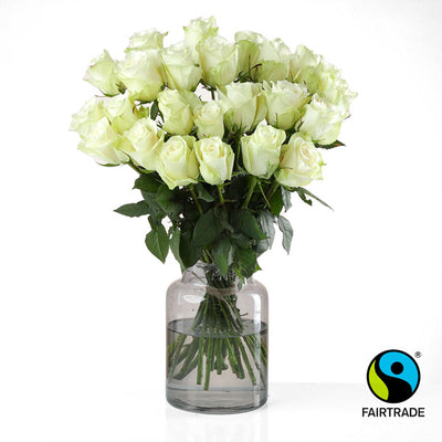 Premium Fairtrade White Roses