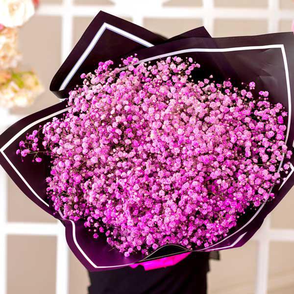 Wonder Pink Baby's Breath Bouquet