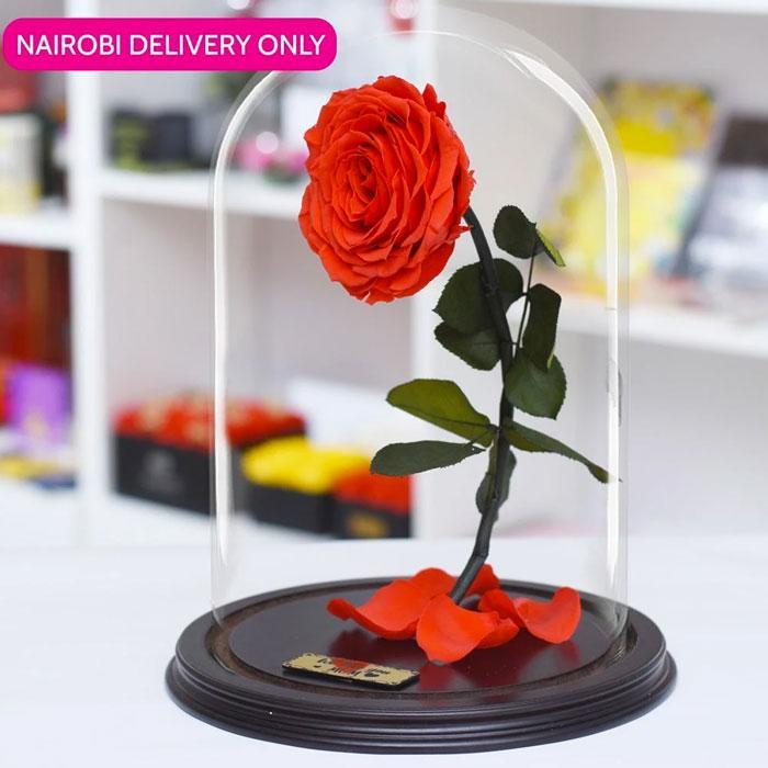 ForeverRoses™  Red Bella Rose