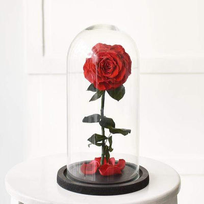 ForeverRoses™  Red Bella Rose
