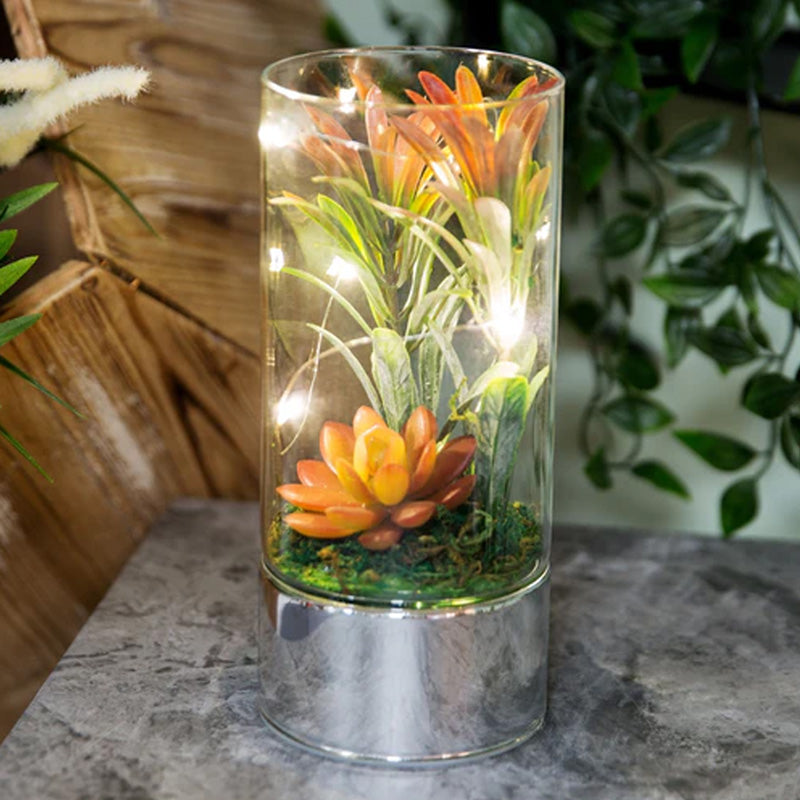 Glass Tube Terrarium with Artificial Succulents & LEDs - 20cm